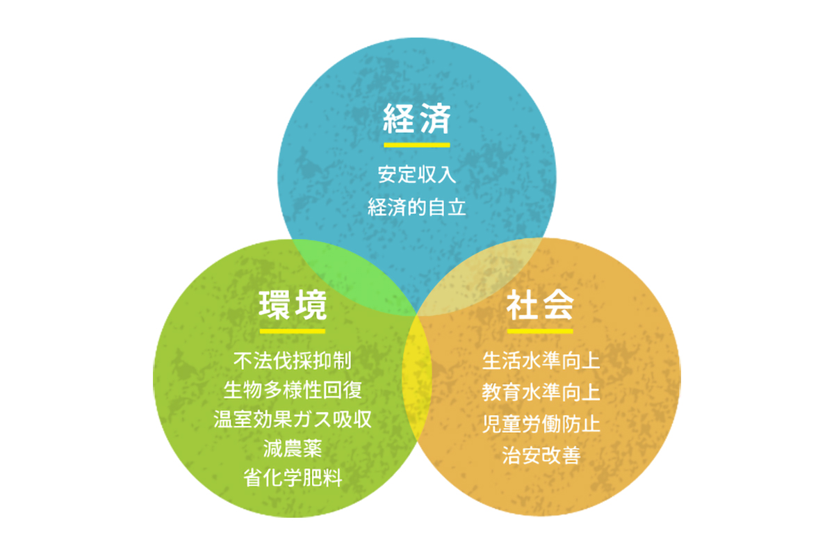 サステナブルな理由の農薬や肥料の使用が最小限の図